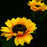 LED Solar Sunflower Lamps Solar Light Decorative Lights