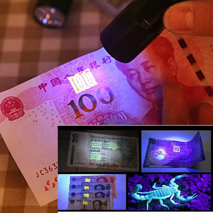 100 LED UV Flashlight Black Light 395 NM Ultraviolet Torch Blacklight Detector for Dog Urine, Pet Stains and Bed Bug