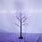 3 Pac Halloween Spooky Tree With Purple Lights, 4FT 5FT And 6FT, Lighted Black Tree For Halloween Decoration