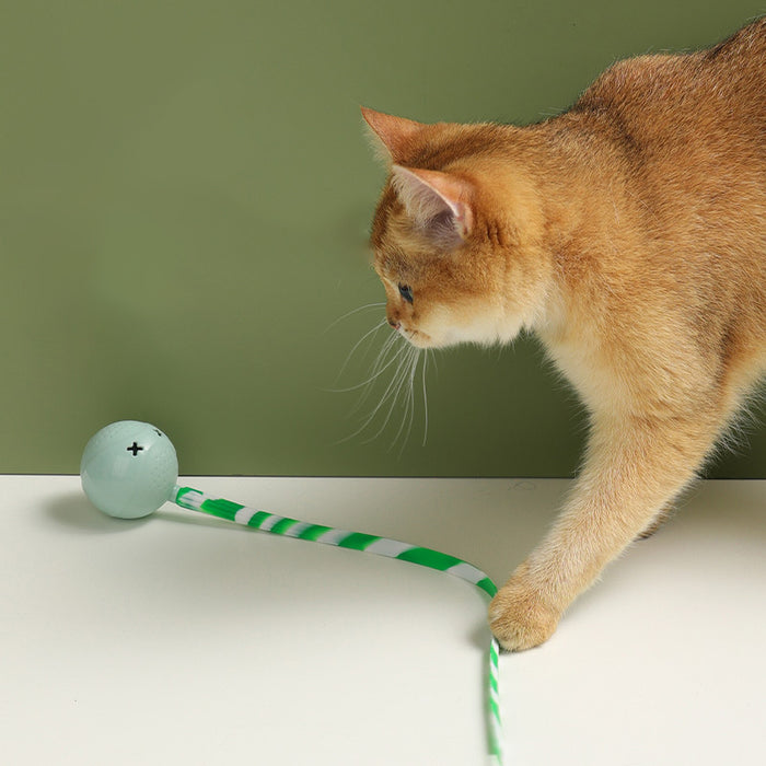 Cat Ball Toys Interactive Electric Balls Pet Toy Motion Activate Ball Toy With Touch Sensor Pet Supplies Cat Playing Accessories