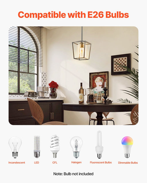 Black Pendant Light Iron Cage Metal Pendant Lighting With Glass Shade