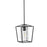 Black Pendant Light Iron Cage Metal Pendant Lighting With Glass Shade