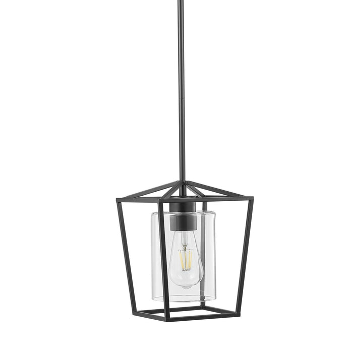 Black Pendant Light Iron Cage Metal Pendant Lighting With Glass Shade