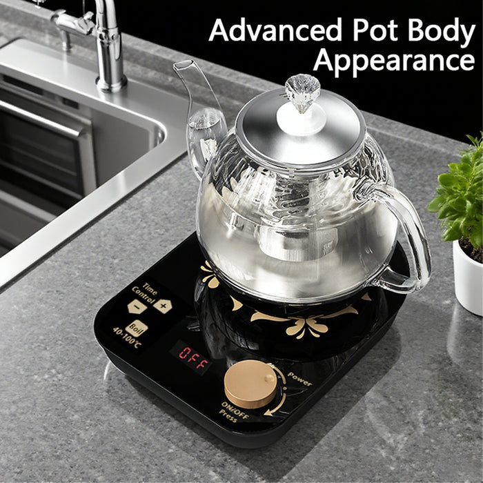 Professional Multi-functional Glass Teapot  800ml Fast Heating Cooking And Brewing Integrated Electric Kettle With Stainless Steel Filter