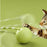 Cat Ball Toys Interactive Electric Balls Pet Toy Motion Activate Ball Toy With Touch Sensor Pet Supplies Cat Playing Accessories
